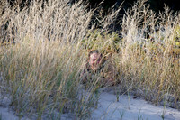 Cohn_008
