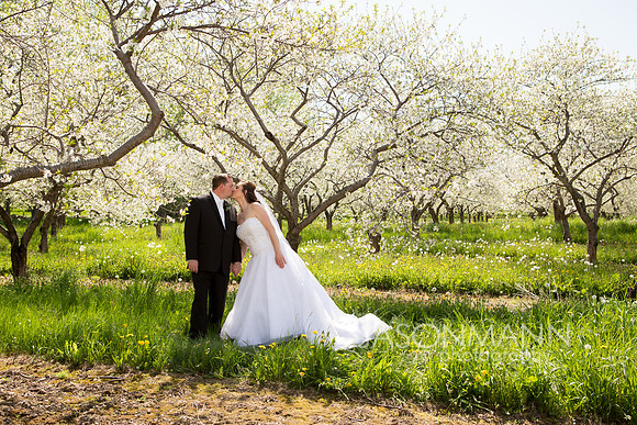 schultz_0828