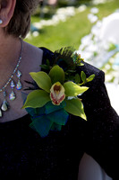 schultz_0169