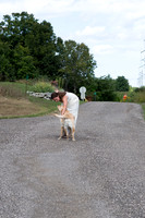 Wedding Photos