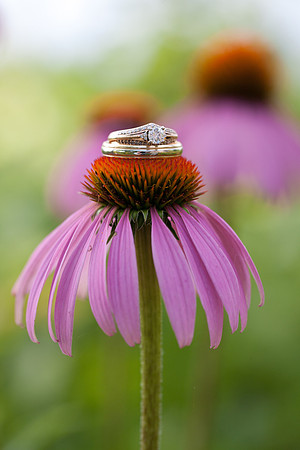 00599_jmannphoto