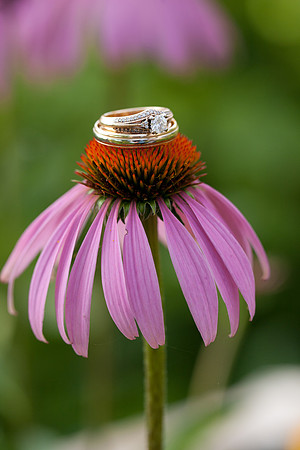 00598_jmannphoto