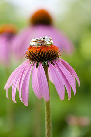 00601_jmannphoto