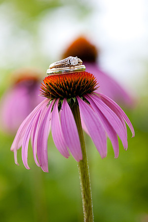 00600_jmannphoto