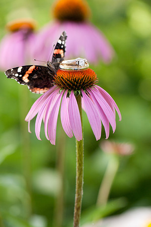 00603_jmannphoto