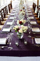 mjRobison_0058