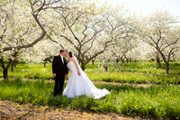 Schultz_SP_0014