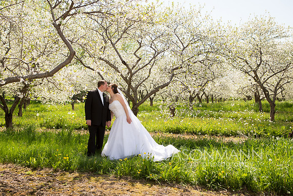 Schultz_SP_0014