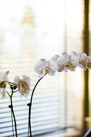 DJC_1040
