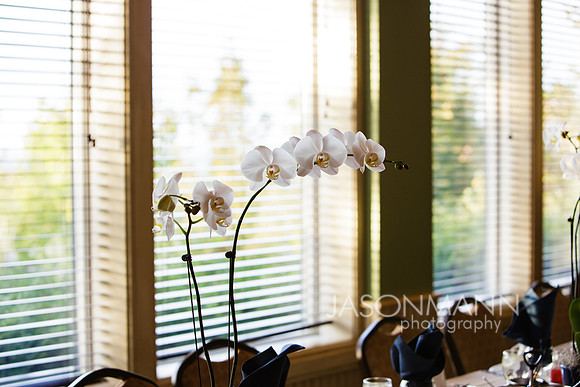 DJC_1041