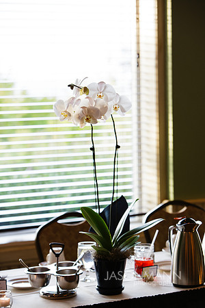 DJC_1043