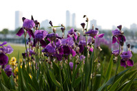 BRrecepton_0217
