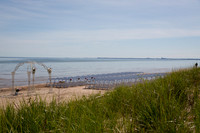 Forrest_0256
