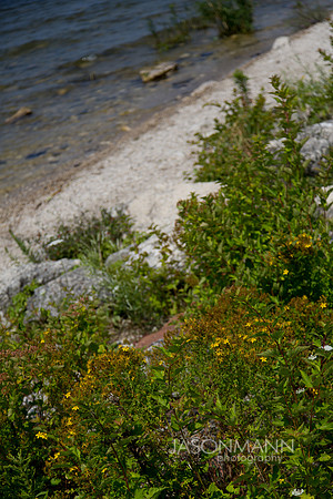 sartain_0041