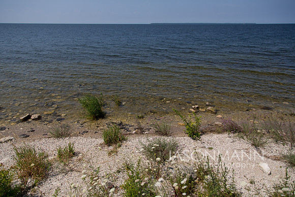 sartain_0033