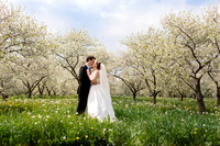 Blossom Session