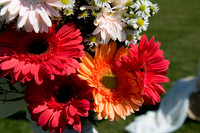 Bunting_0187