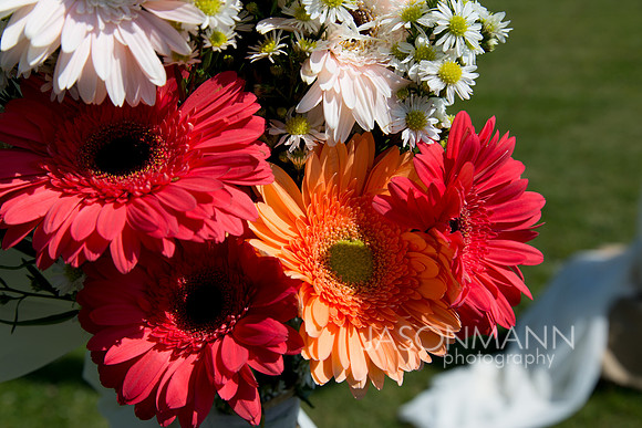 Bunting_0187
