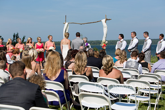 Bunting_0359