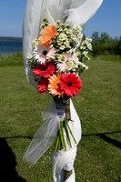 Bunting_0185