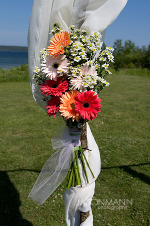 Bunting_0185