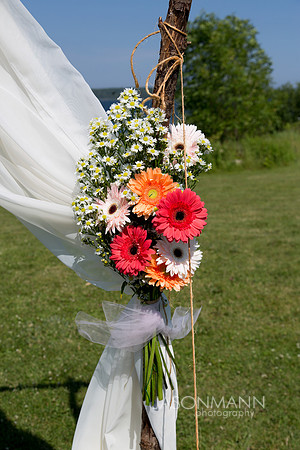 Bunting_0184