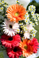 Bunting_0189
