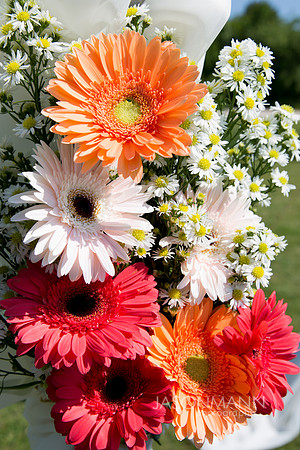 Bunting_0189