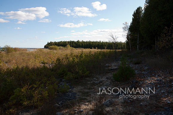 DSW_00005