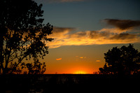 Forest_480