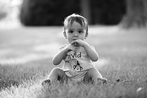 DavidP_00030