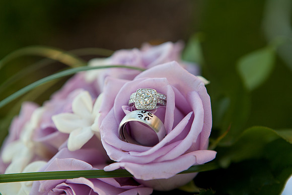 00531_jmannphoto