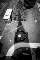 Davis_0376