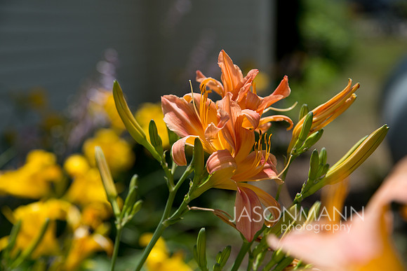 sartain_0004