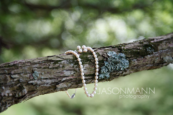 mjRobison_0032