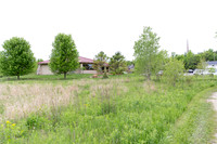 collins_0152