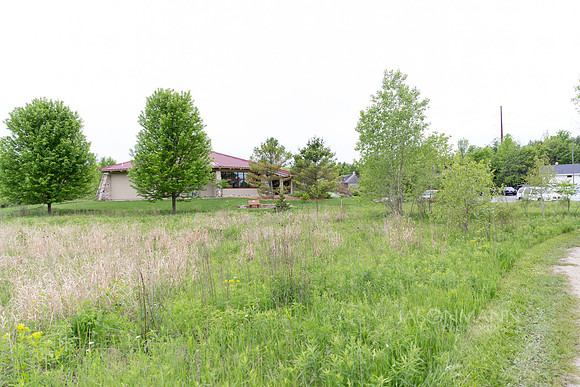 collins_0152