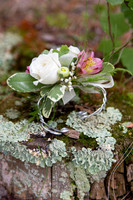 "Sneak PeeK"  Wedding Photos