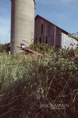 Lodl_0151
