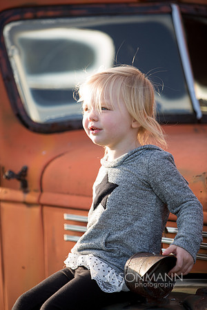Saurer_056