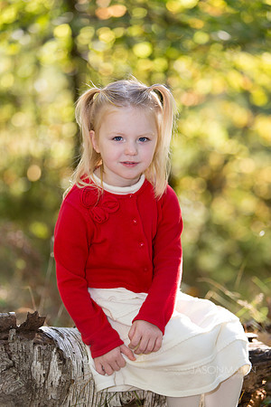 Saurer_0015