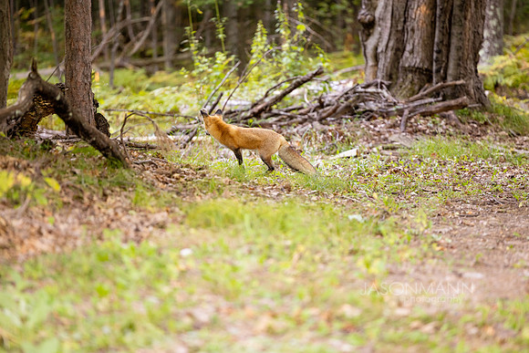 SawyerG_0050