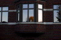 Scott_0575