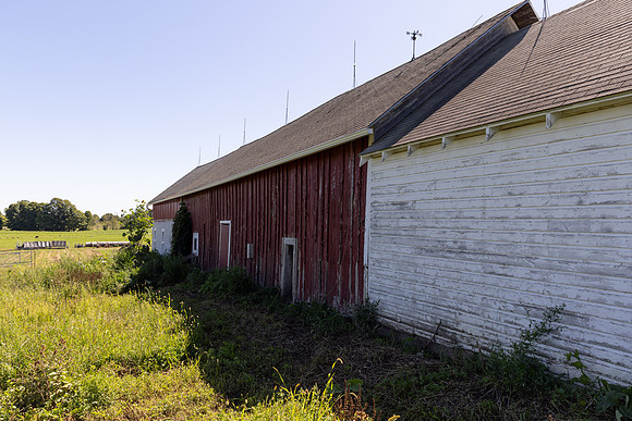 9668_0036
