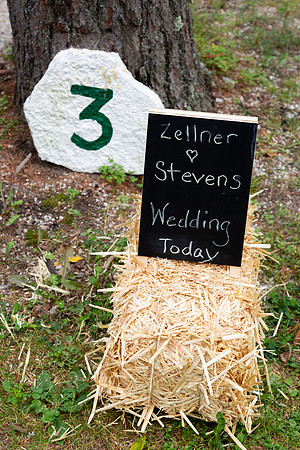 Stevens_0037