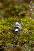 Stevens_0018
