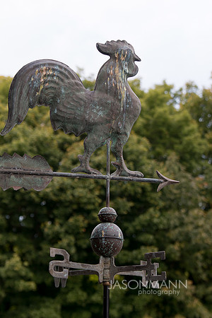 Adler_0064