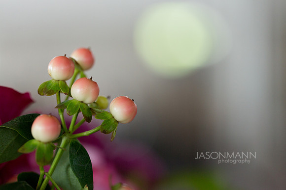 Bschere__0264