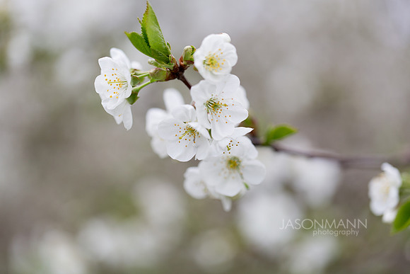 SteveHeidi_0035