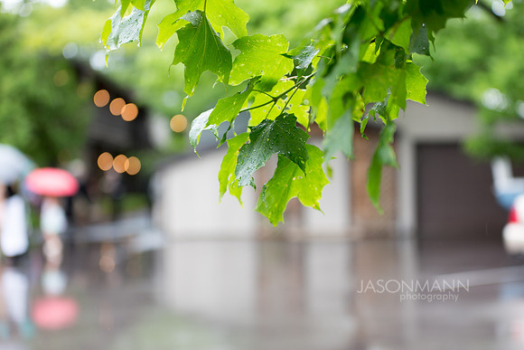 PatEmilie_0485